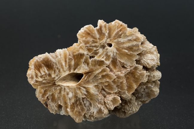 Barite stalagmite cross-section