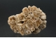 Barite - stalagmite cross-section