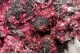 Erythrite