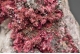 Erythrite