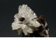 Hemimorphite 