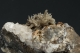 Aragonite