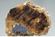 Barite- 'Yorkshire Oakstone'