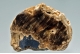 Barite- 'Yorkshire Oakstone'