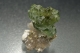 Andradite Garnet Var. Demantoid