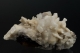 Aragonite 'Ferri-Flos'