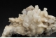 Aragonite 'Ferri-Flos'