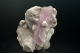 Spodumene Var. Kunzite