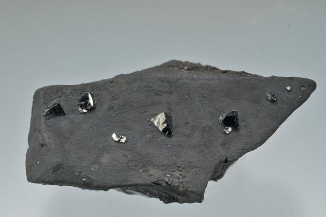 Freibergite Freibergite