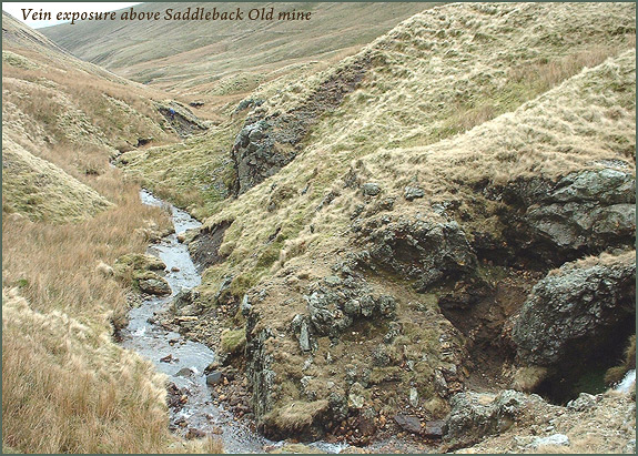 saddleback old mine
