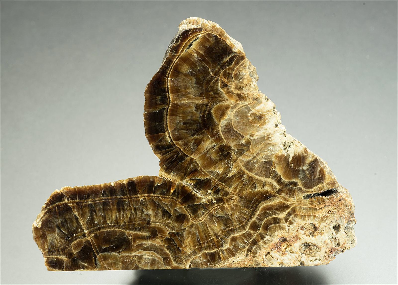 Barite polished- Yorkshire' Oakstone'. 90x70x25mm.  Barras End MIne, Swaledale