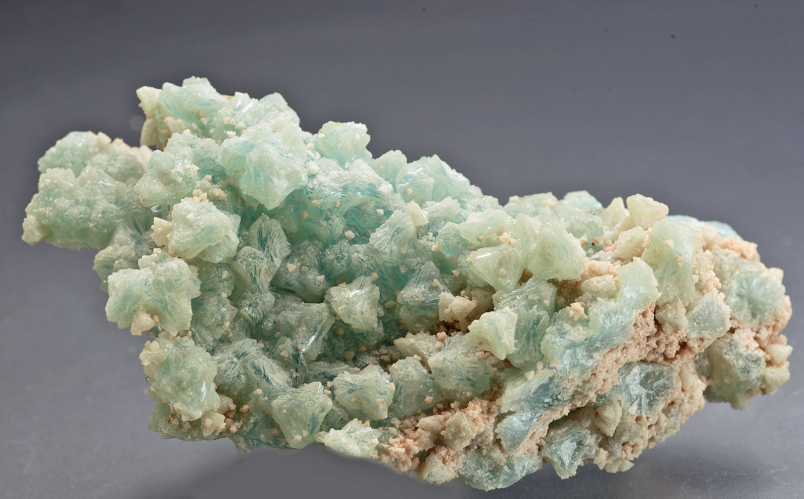Gigantic Botryoidal Fluorite on MM Quartz Very, Rare Natural Mineral S – Superb Minerals