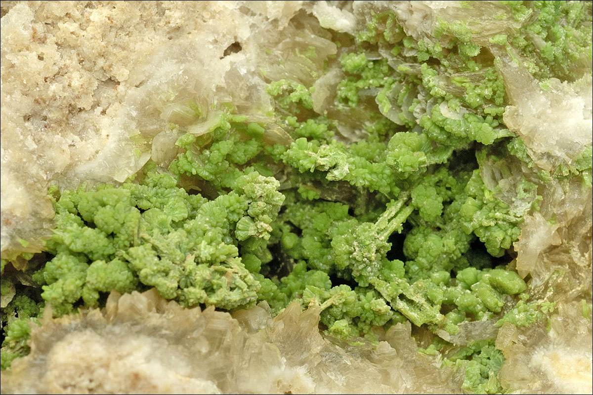 Pyromorphite pseudomorphs after cerussite. Bunton Hush, Old Gang mines, Swaledale