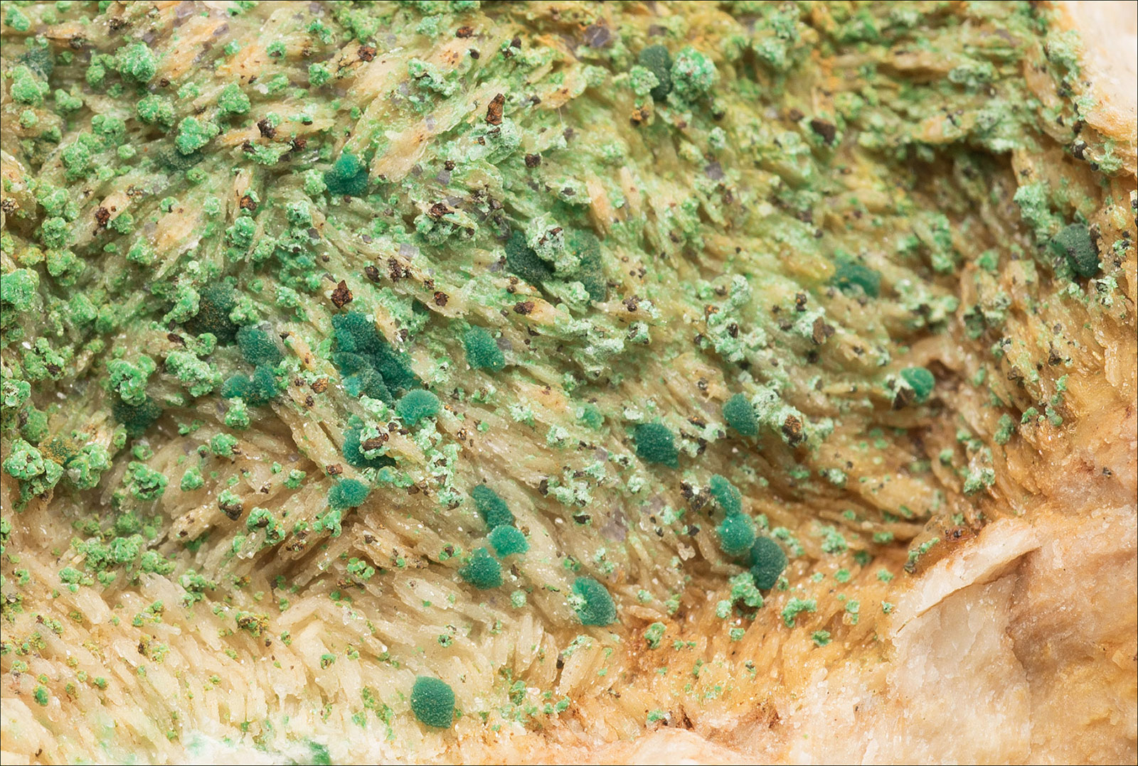 Rosasite and Malachite, Stodarts hush area, Arkengarthdale.  FOV. 18x12mm